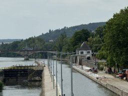 Mainschwimmen Juni 2026